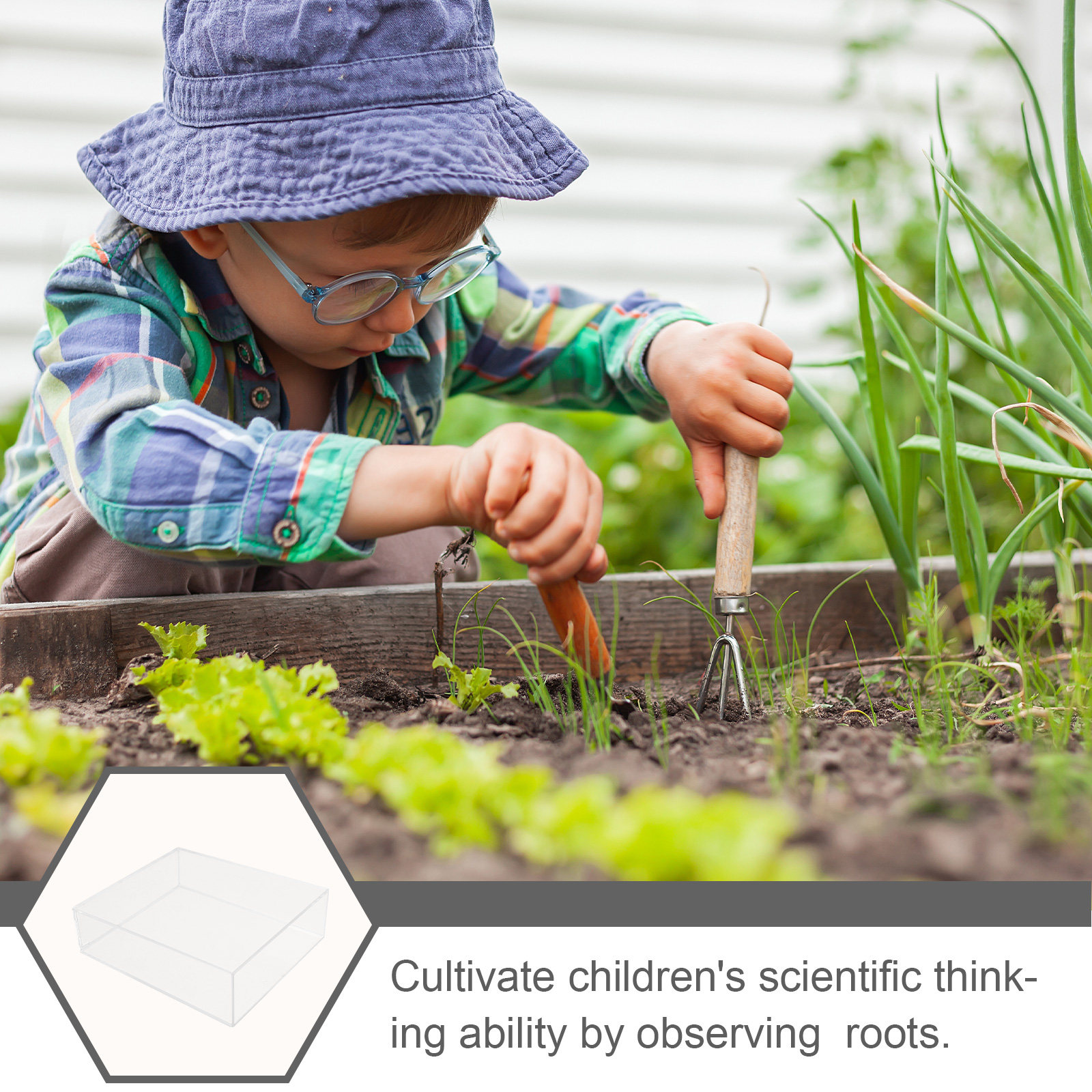 Kids Root Viewer Growing Plant - Plant Parental recensie en prijs