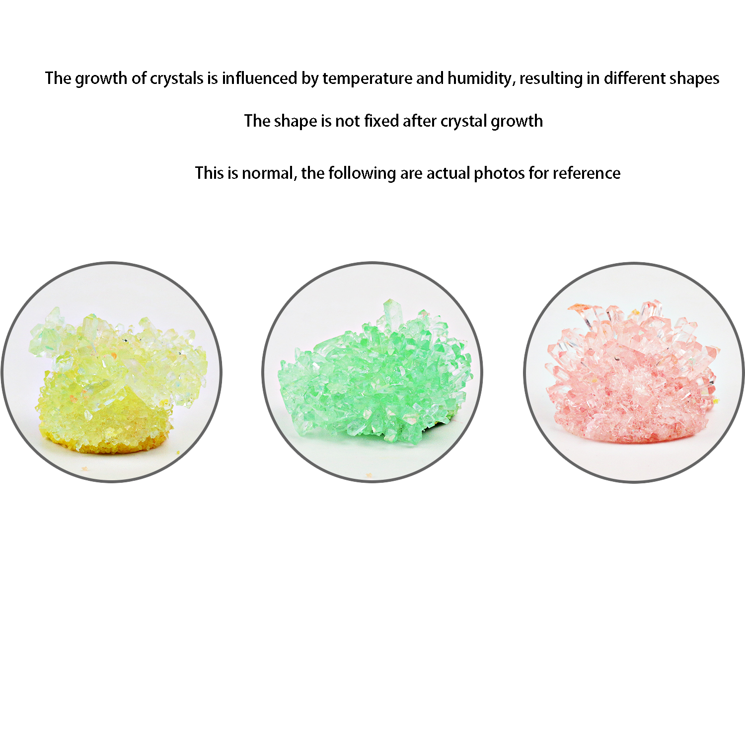 Crystal planting DIY scientifi - Plant Parental recensie en prijs